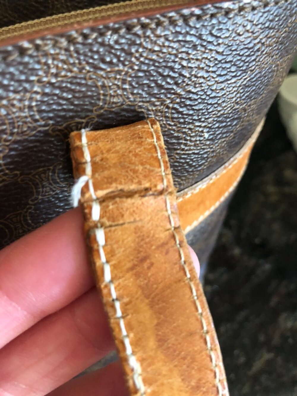 Celine Tote - Picture 12 of 13